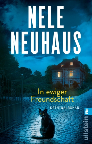 In ewiger Freundschaft (Ein Bodenstein-Kirchhoff-Krimi 10)