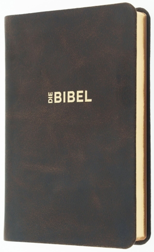 Schlachter 2000 Bibel - Taschenausgabe (Softcover, schwarz, Rotgoldschnitt)
