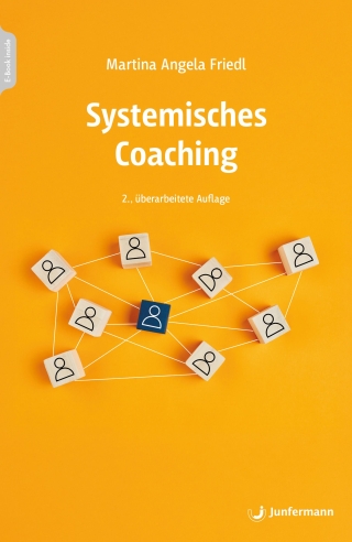 Systemisches Coaching