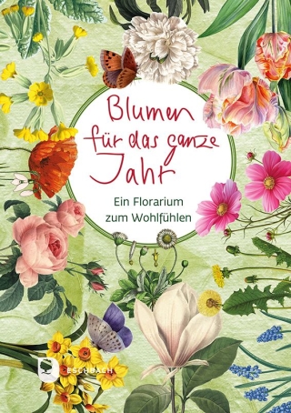 Blumen für das ganze Jahr