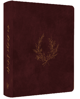 NEÜ LIEBEZURBIBEL WINE