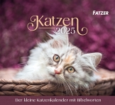 Katzen 2025