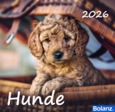 Hunde 2026