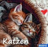 Katzen 2026