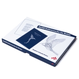 Zwölf Gehversuche im Beten