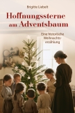 Hoffnungssterne am Adventsbaum