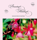 Brautzeit - Hochzeit - Geschenkband