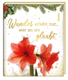 Wunder erlebt nur, wer an sie glaubt