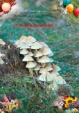 Das magische Jahr