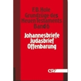 Grundzüge des Neuen Testaments, Band 6