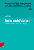 Strebe nach Schalom!