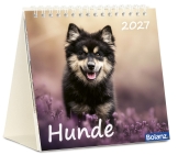 Hunde 2027 – Tischkalender