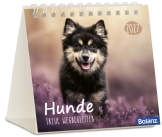 Hunde – treue Wegbegleiter 2027 – Minikalender