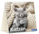 Katzen 2027 – Tischkalender