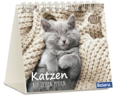 Katzen – auf leisen Pfoten 2027 – Minikalender
