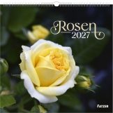 Rosen 2027 – Wandkalender