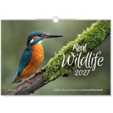 Real Wildlife 2027