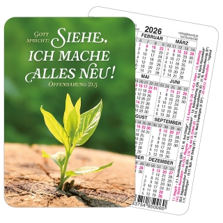 Spielkartenkalender 2026
