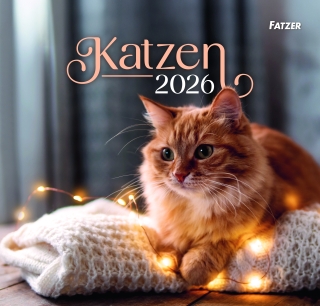 Katzen 2026