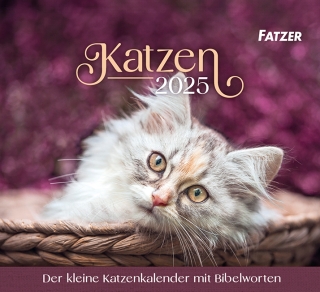 Katzen 2025