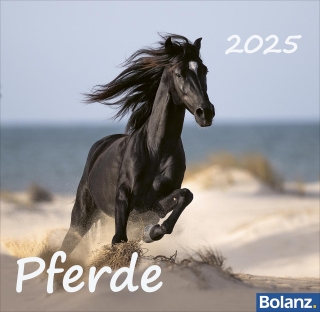 Pferde 2025