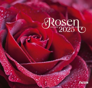 Rosen 2025