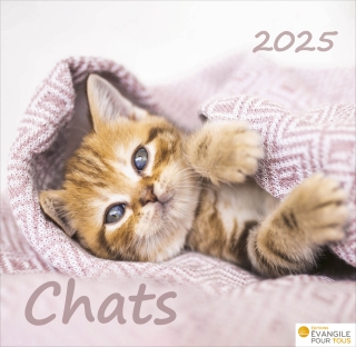 Chats 2025
