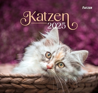 Katzen 2025