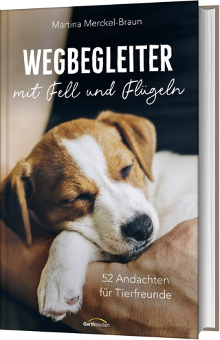 Wegbegleiter mit Fell und Flügeln
