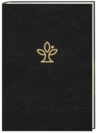 Die Bibel. Großdruck. Mit Familienchronik.