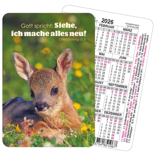 Spielkartenkalender 2026