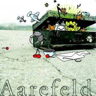 Aarefeld (Audio-CD)