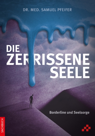 Die zerrissene Seele (E-Book)