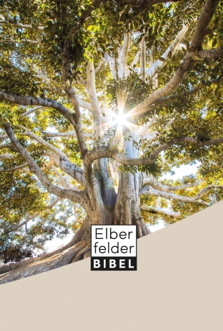 Elberfelder Bibel - Standardausgabe, Motiv Baum