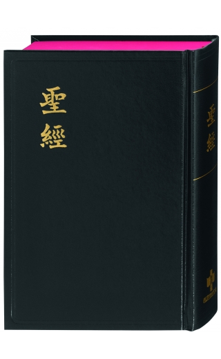 Bibel Chinesisch (Shangti Edition)