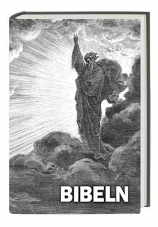 Bibeln - Bibel Schwedisch