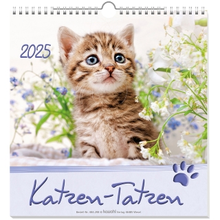 Kleine Katzen-Tatzen 2025