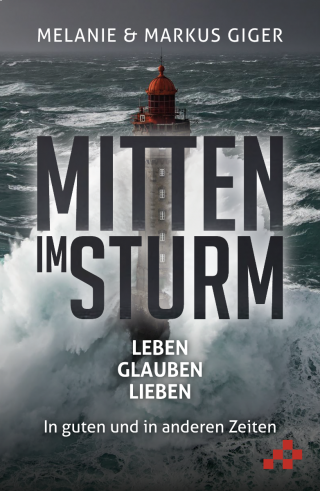 Mitten im Sturm (E-Book)
