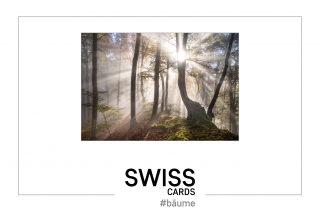 Swiss Cards #bäume